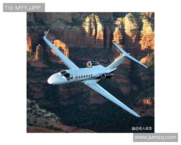 足球明星乘私人飞机不幸遇难引发全球哀悼与安全隐患讨论